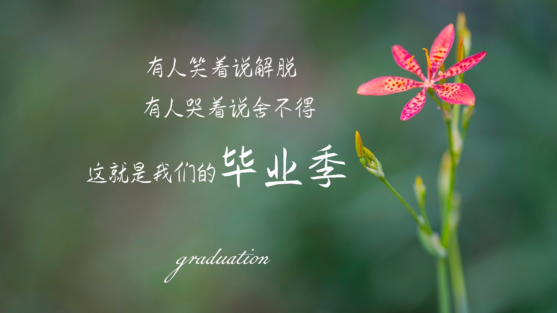 世界杯激烈火拼:每一瞬都无比精彩!,fire世界杯