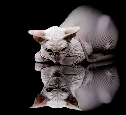 开云体育链接-深圳领航队外线命中率逐步上升形成火力网，深圳领航者青年队教练是谁