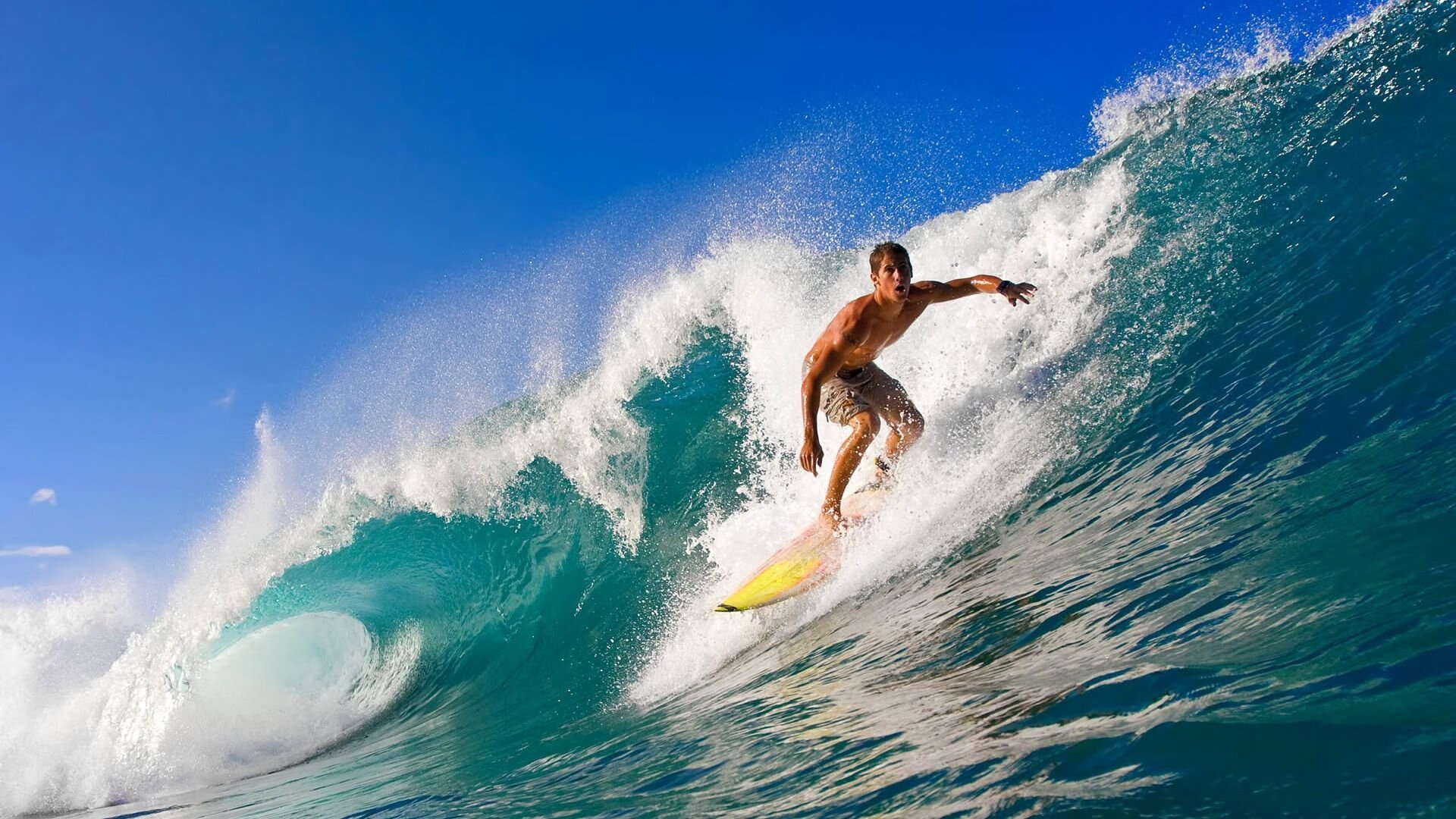 开云体育中国官网-全红婵和陈芋汐争夺跳水金牌,实力强劲,全红婵陈芋汐决赛