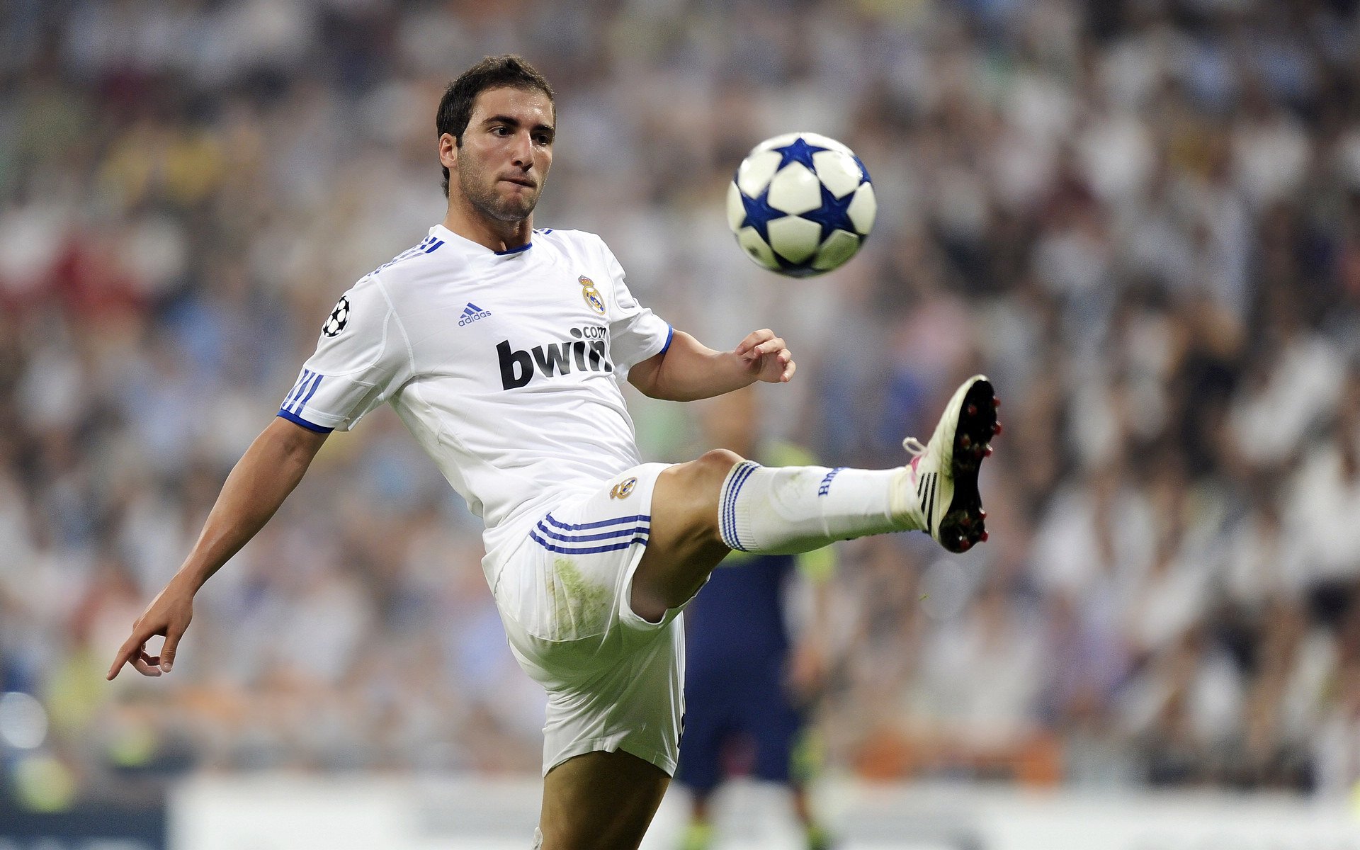 勇士内部演练中模拟季后赛压力环境,勇士现场